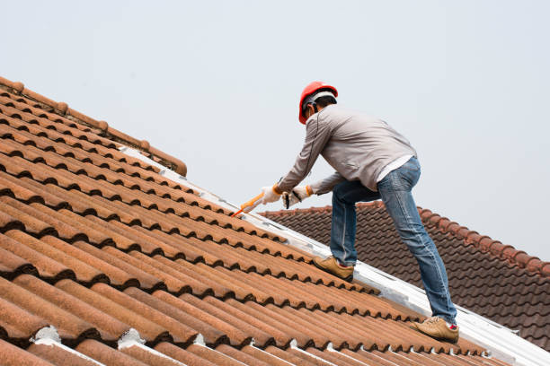 Fast & Reliable Emergency Roof Repairs in Placeholder8